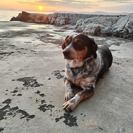 House Ose Casa vacanze