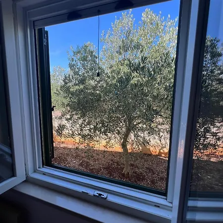 House Ose Prázdninový dům