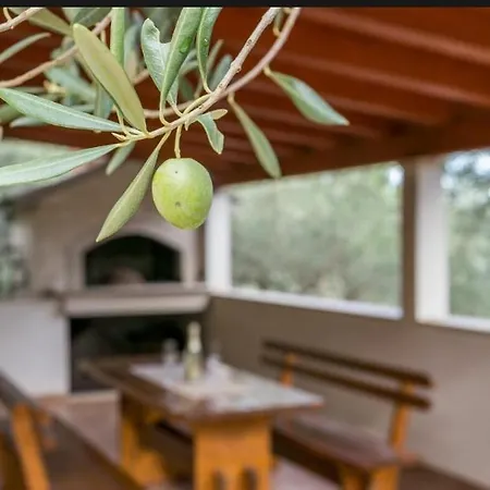 House Ose * Mirce