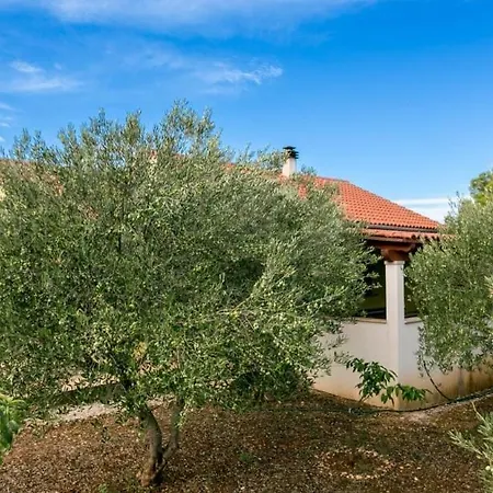 House Ose Σπίτι διακοπών